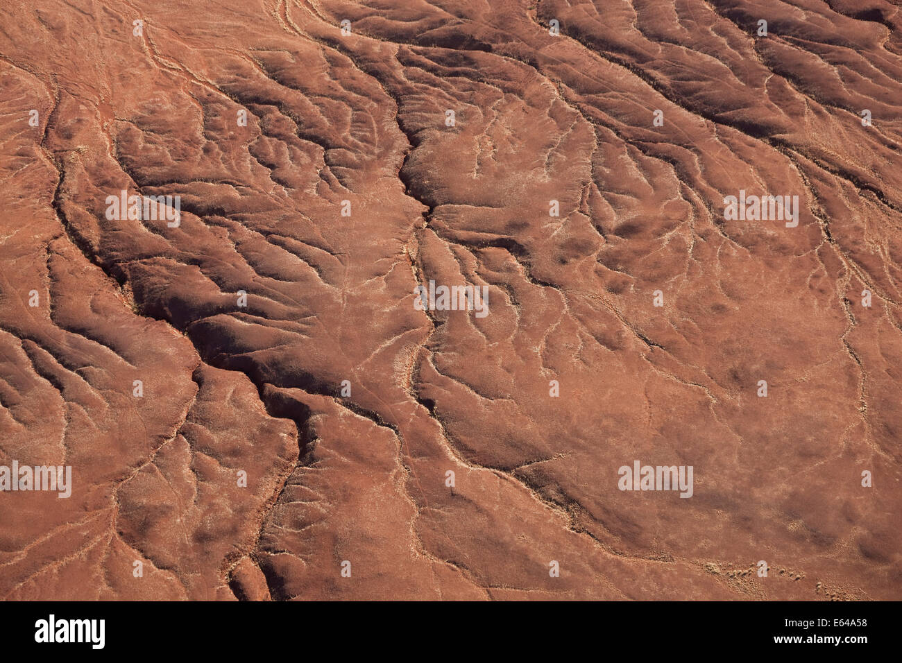 Getrocknete Flussbett, Wüste Namib, Namib-Naukluft-Nat Pk, Namibia Stockfoto