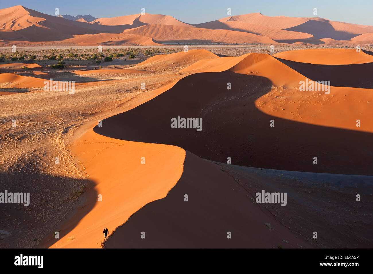 Mann Klettern Sanddünen, Namib-Naukluft-Nationalpark, Namibia Stockfoto