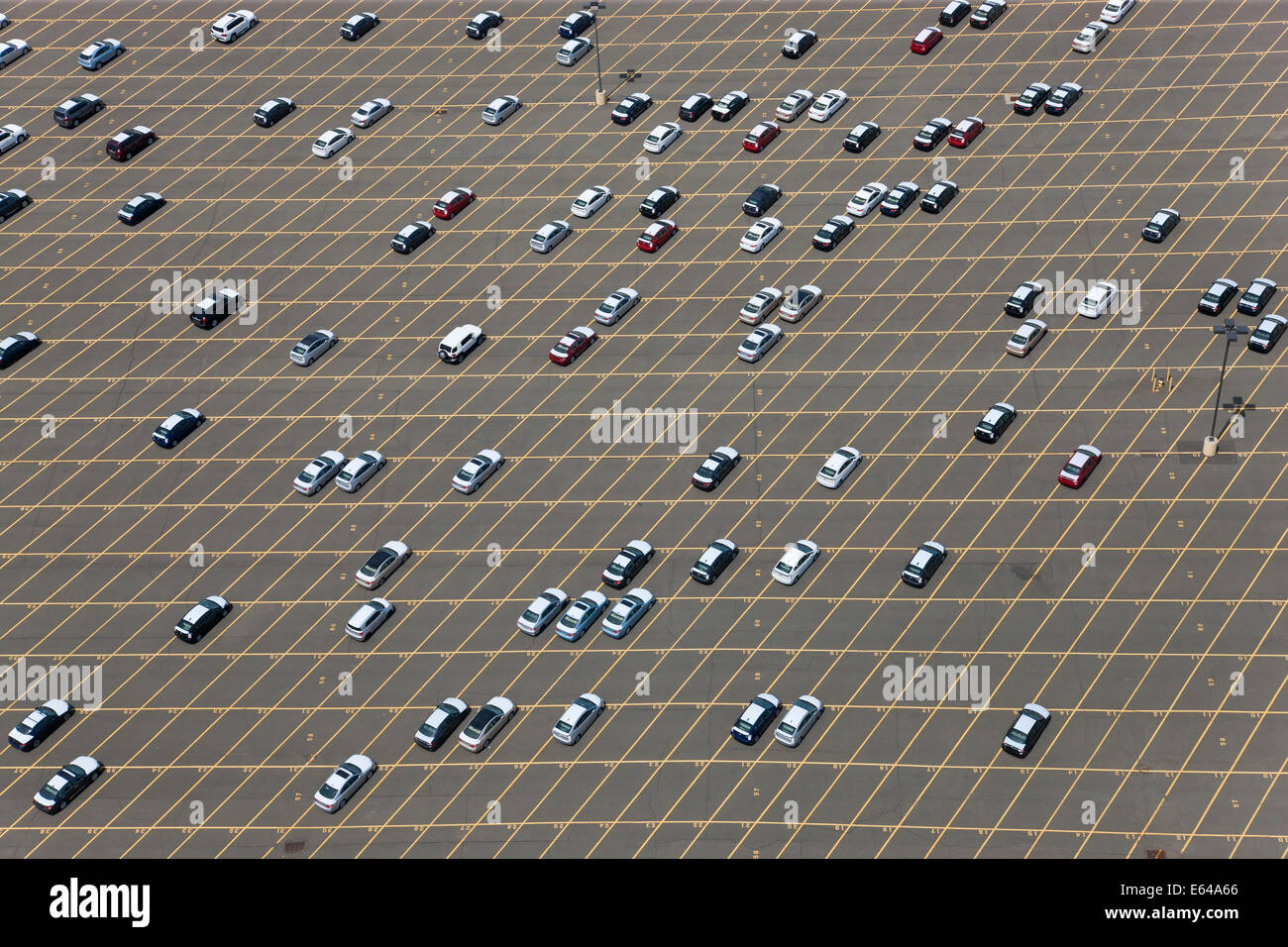 Neue Autos warten auf Lieferung an Port, New Jersey, New York, USA Stockfoto