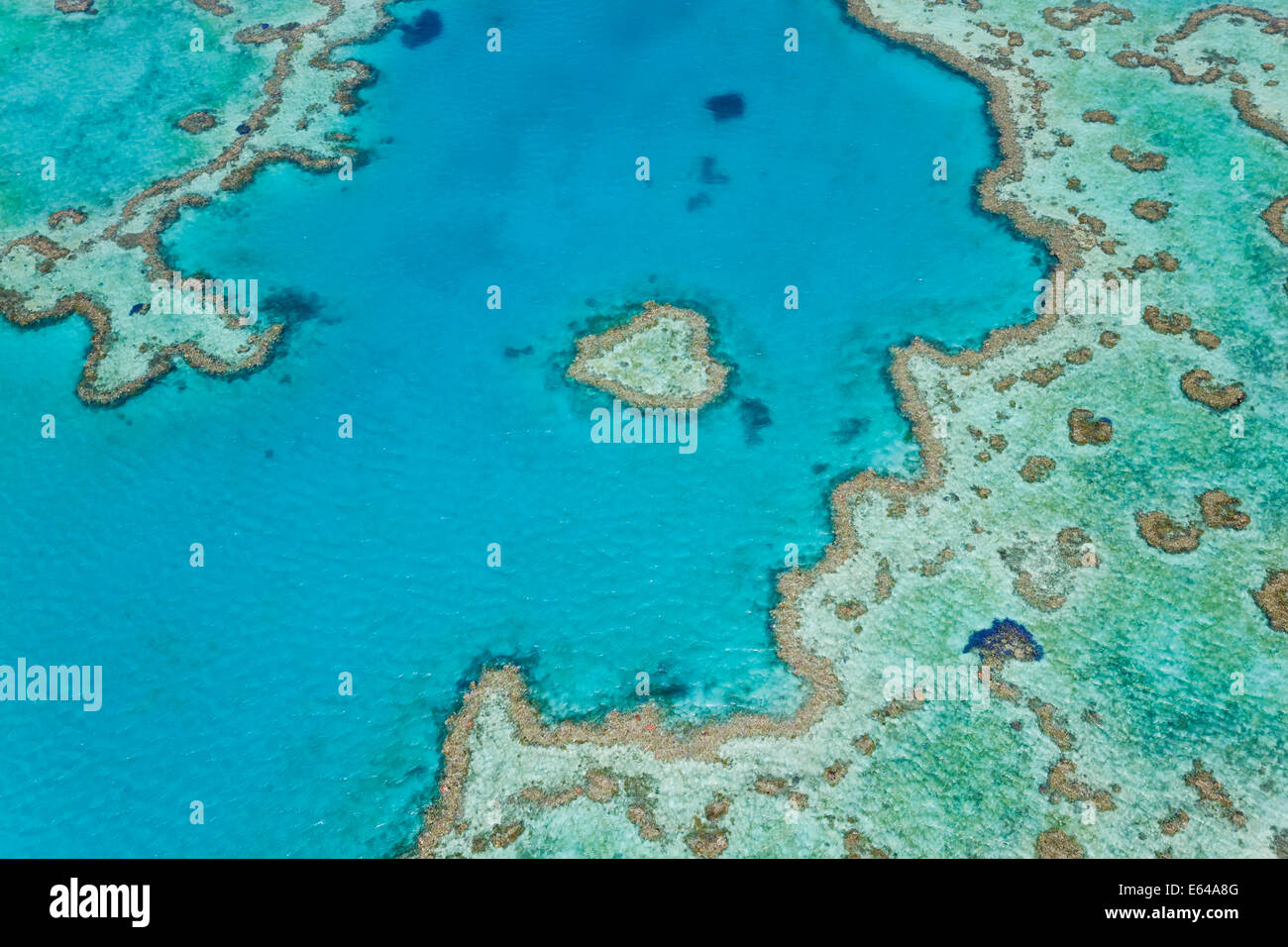 Luftaufnahme des Heart Reef, Teil des Great Barrier Reef, Queensland, Australien Stockfoto
