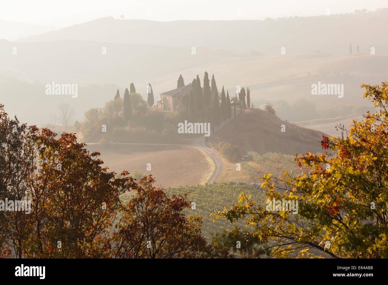 Am frühen Morgen, Val d ' Orcia, Toskana, Italien Stockfoto