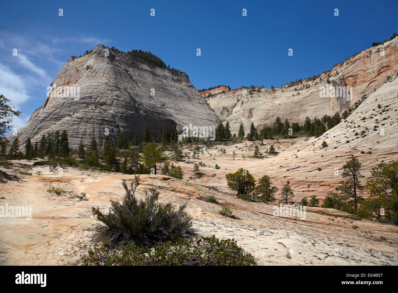 Cathedral Mountain West Rim Trail, Zion Nationalpark, Utah, USA Stockfoto