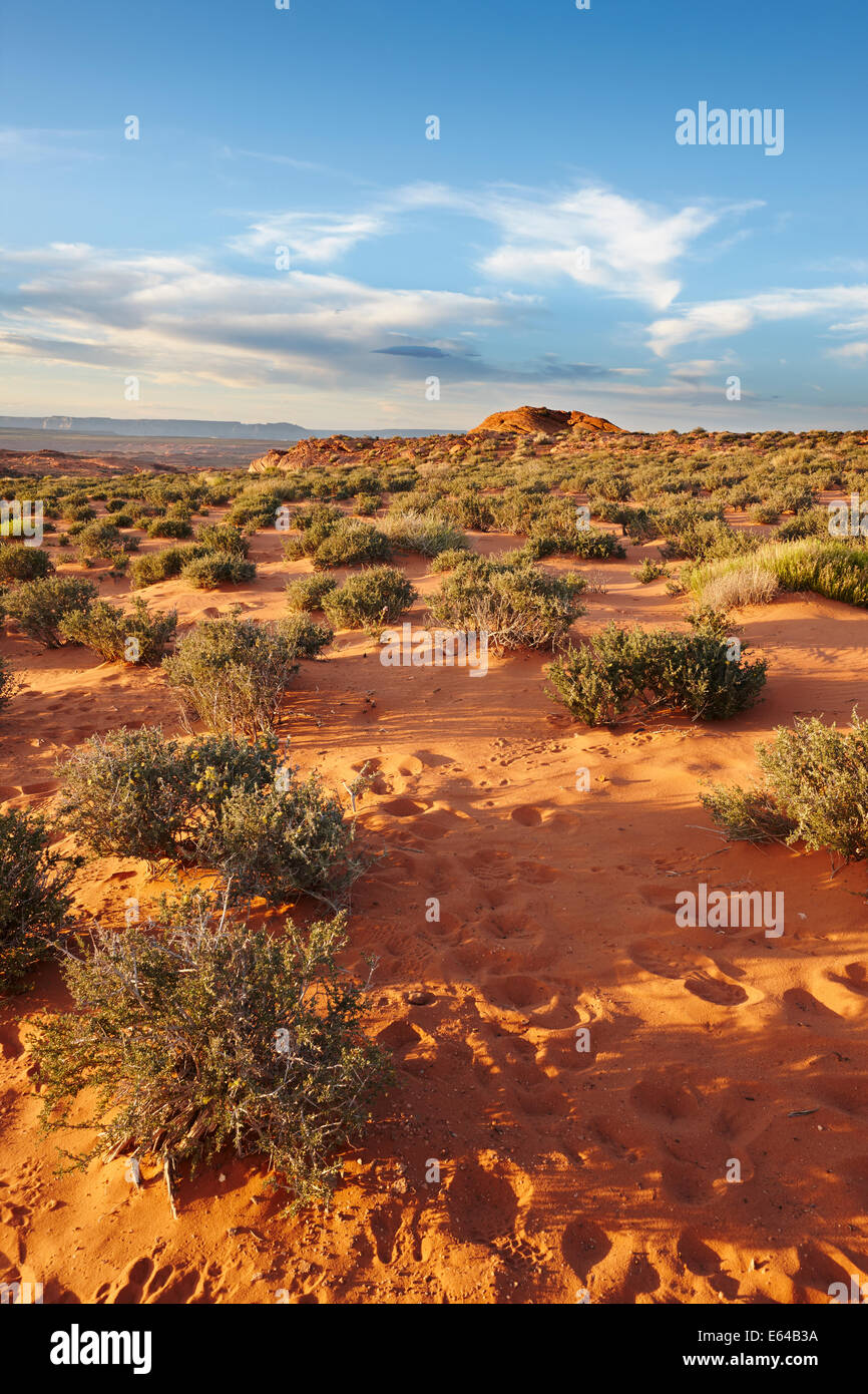 Wüste in der Nähe von Page, Arizona, USA. Stockfoto