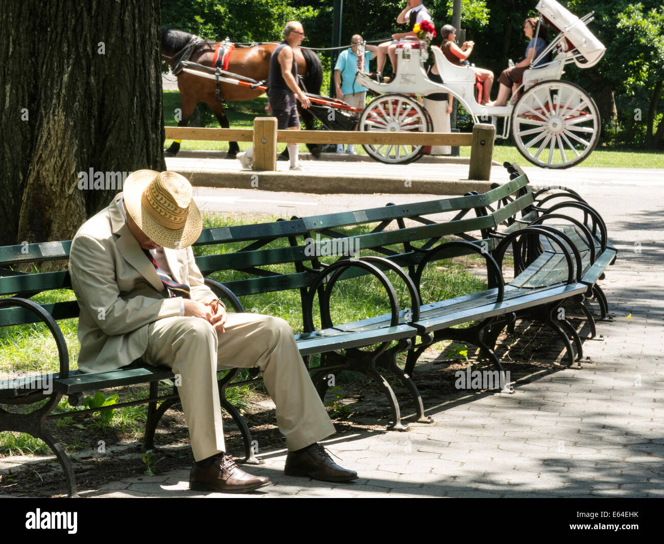Gut gekleideter Mann in Anzug schlafend auf Parkbank, Central Park, NYC Stockfoto