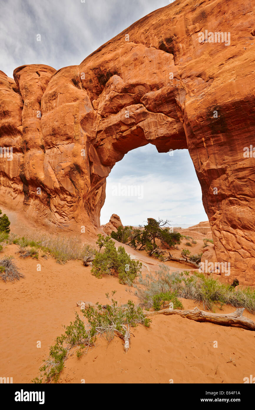 Pine Tree Arch Arches-Nationalpark, Utah, USA. Stockfoto