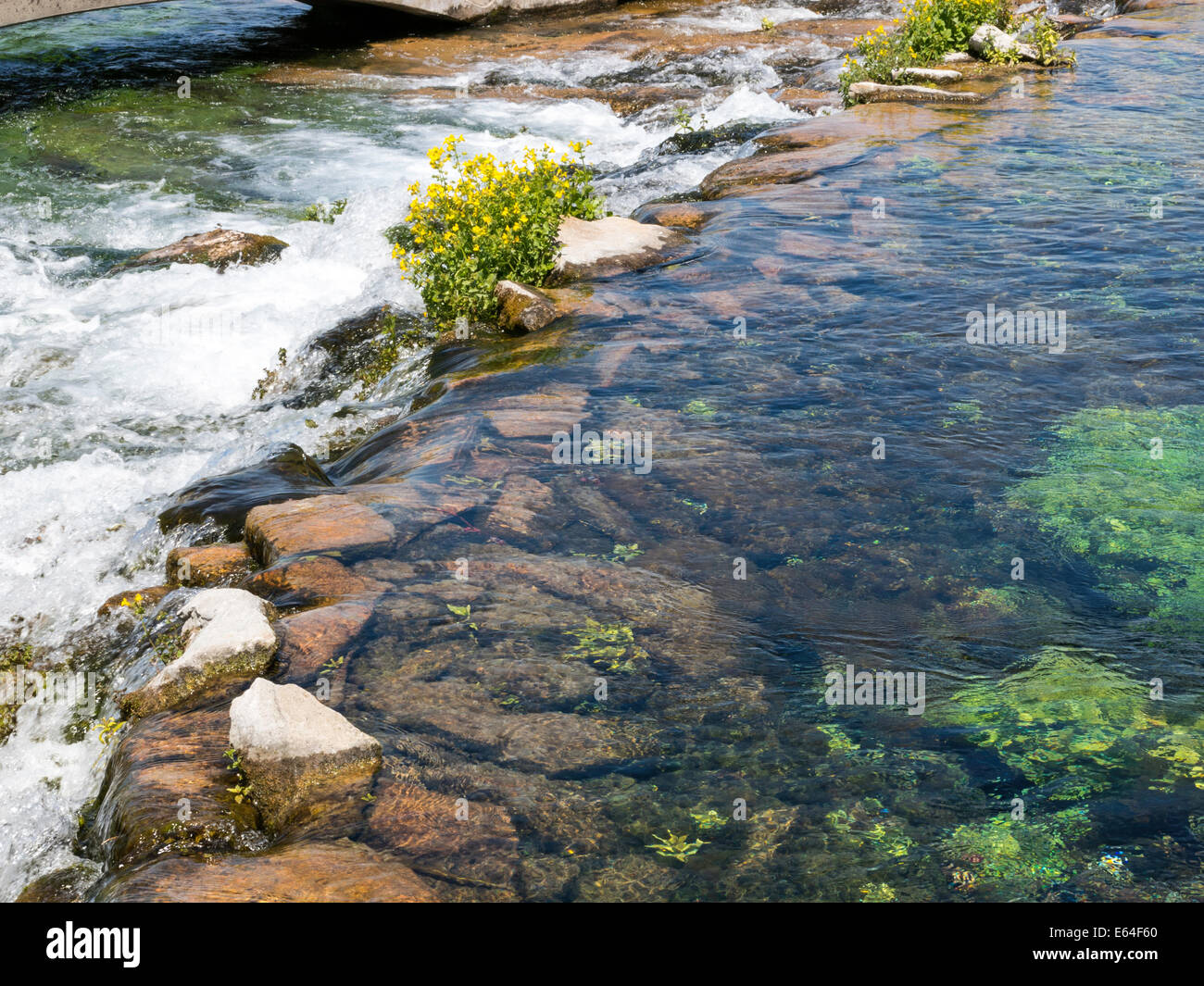 Giant Springs State Park, Great Falls, Montana, USA Stockfoto