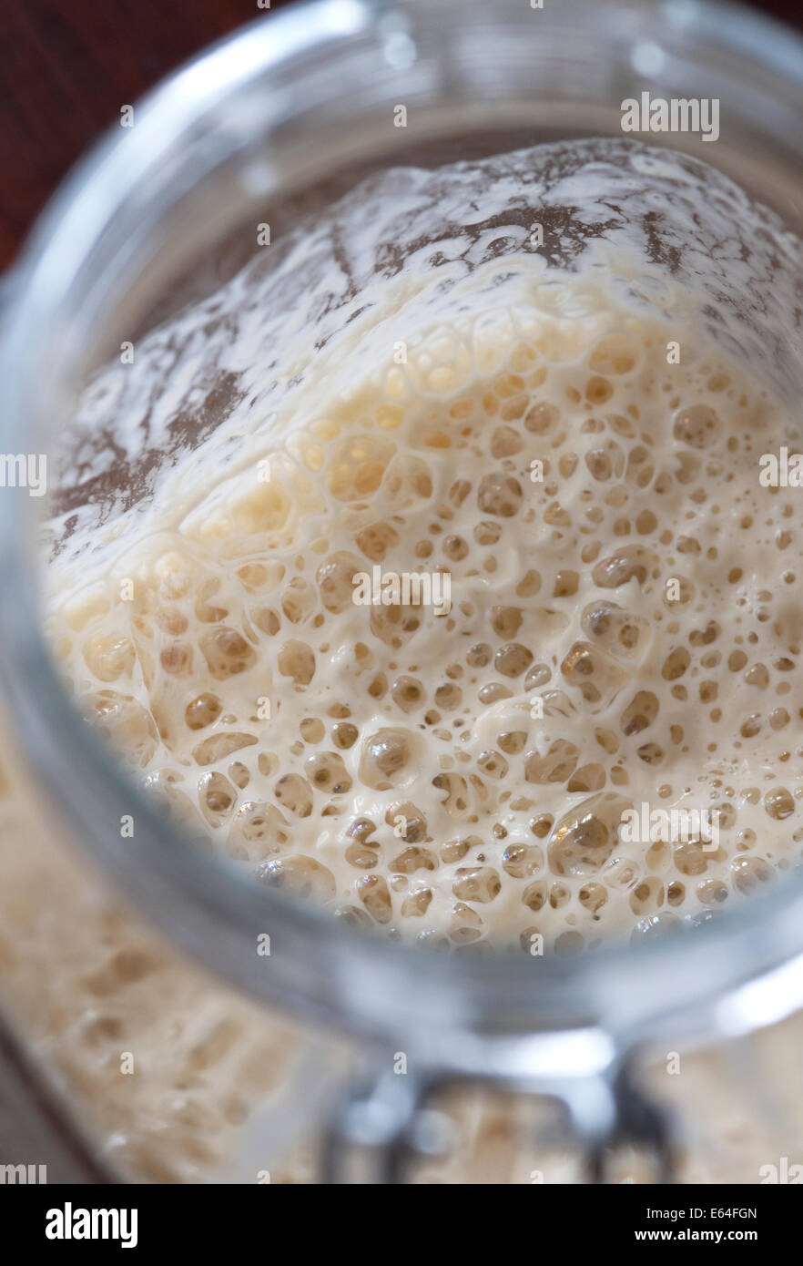 Stillleben-Lebensmittel-Bild einer sprudelnden Sauerteigstarter in einem Glasgefäß. Stockfoto