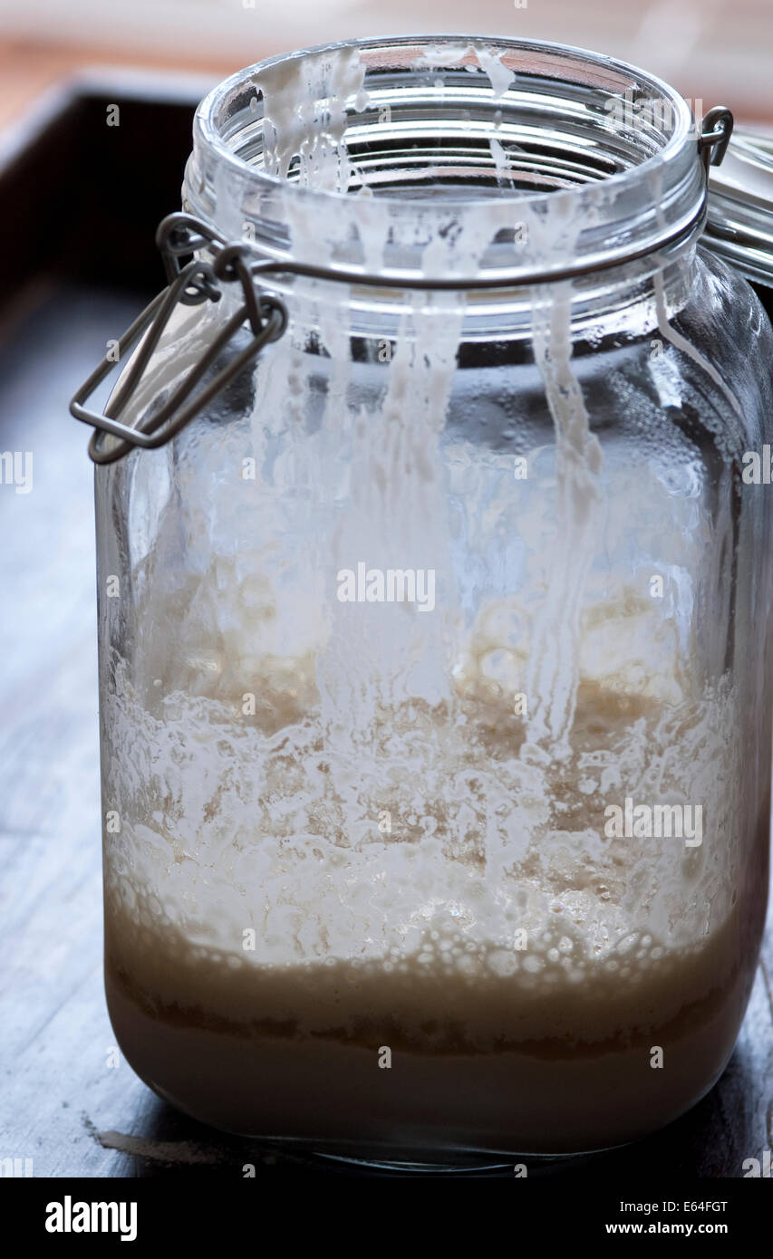 Still-Leben essen Bild der Sauerteig im Glas Stockfoto