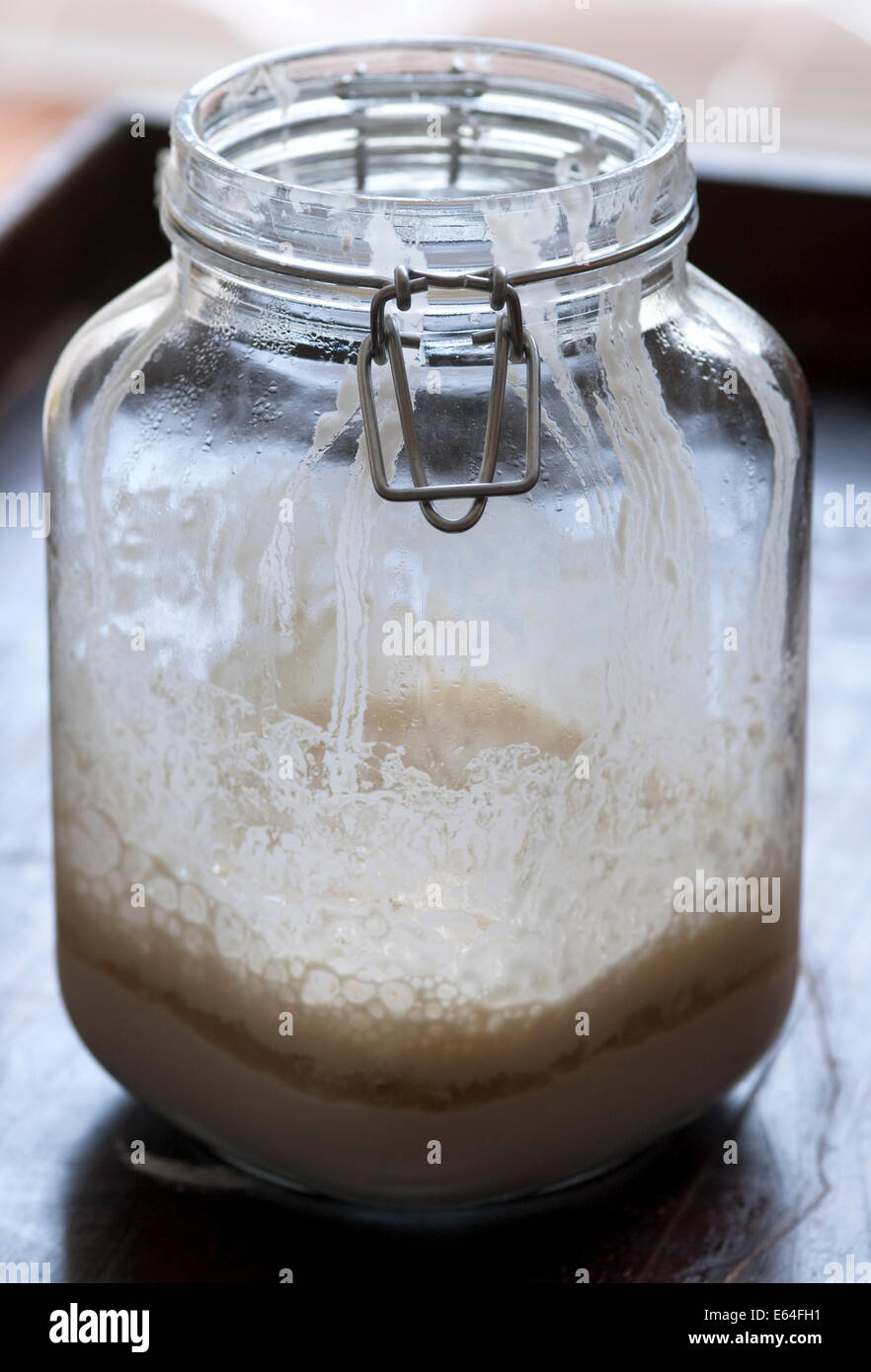Still-Leben essen Bild von Sauerteig-Starter im Weckglas Stockfoto