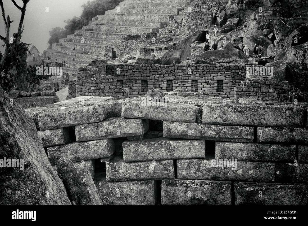 Machu Pichu, Peru Stockfoto