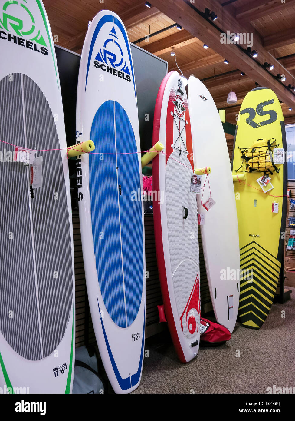 Paddle Board Display, Scheels Sporting Goods Store, Great Falls, Montana, USA Stockfoto