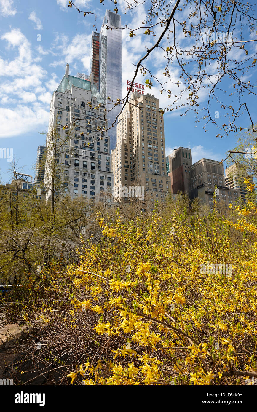 Central Park, New York, USA. Stockfoto
