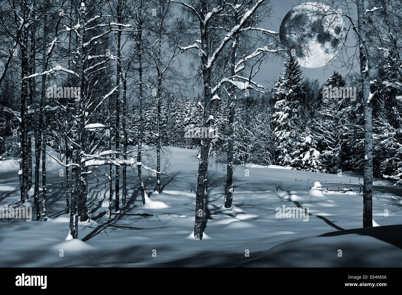 Full.Moon erhebt sich über verschneite Winterlandschaft, Bäume und Wald Stockfoto