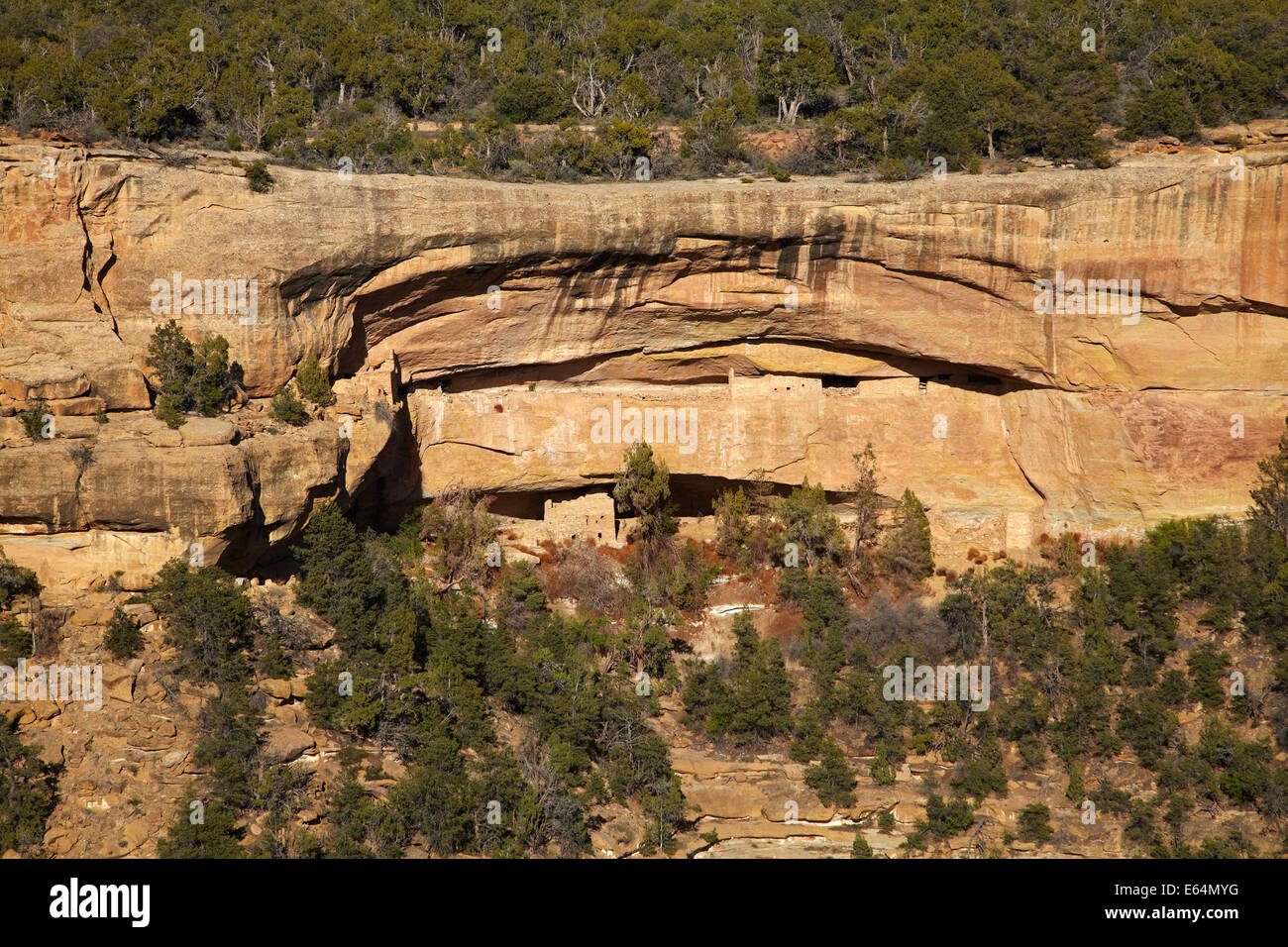 Cliff Dwellings in Cliff Canyon, Mesa Verde Nationalpark (UNESCO-Weltkulturerbe), Colorado, USA Stockfoto