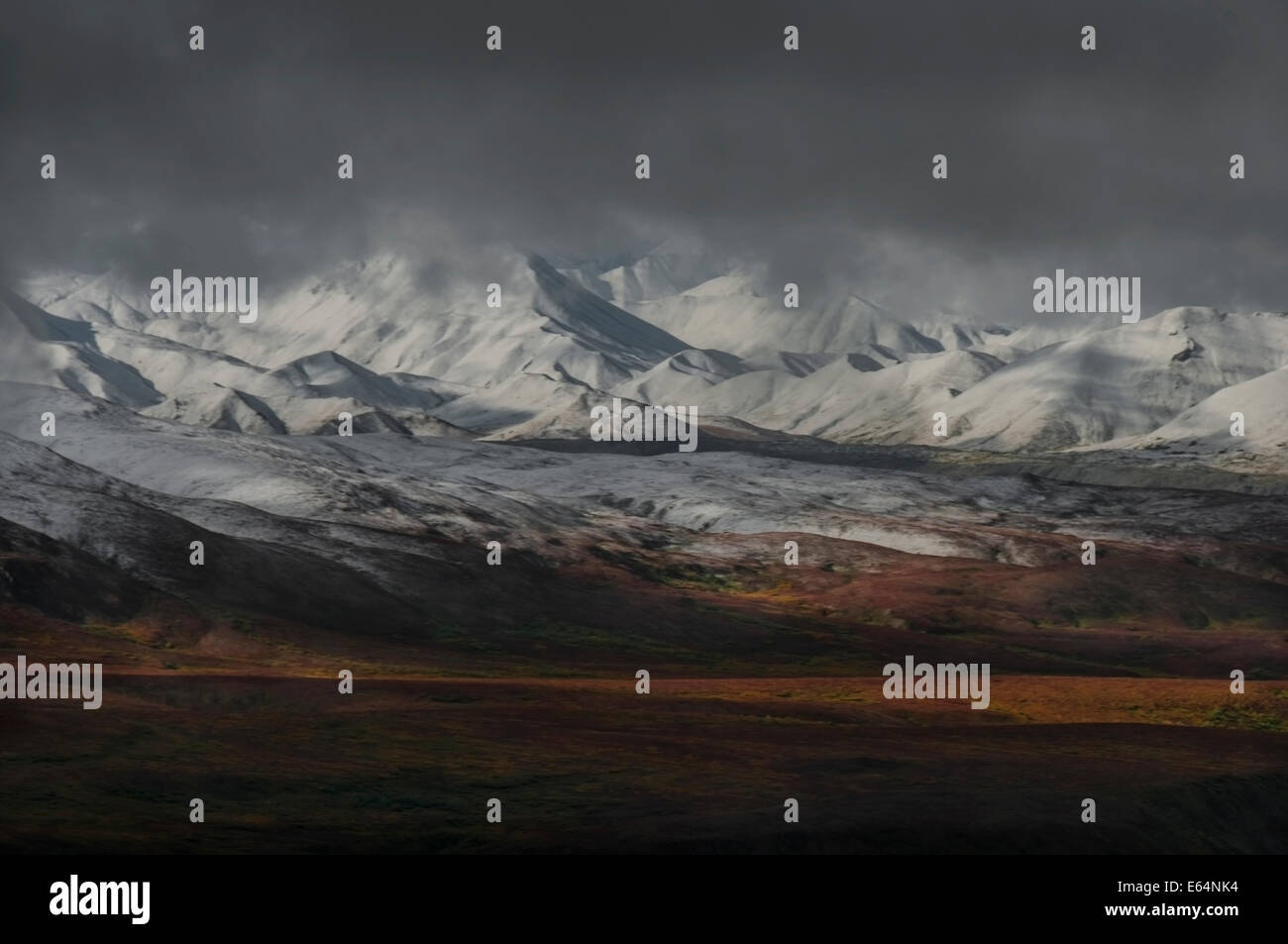 Einer frühen Schneefall lokal bekannt 'Kündigung Staub' decken die Ausläufern der Alaska Range und Leckagen auf der Herbst-tundra Stockfoto