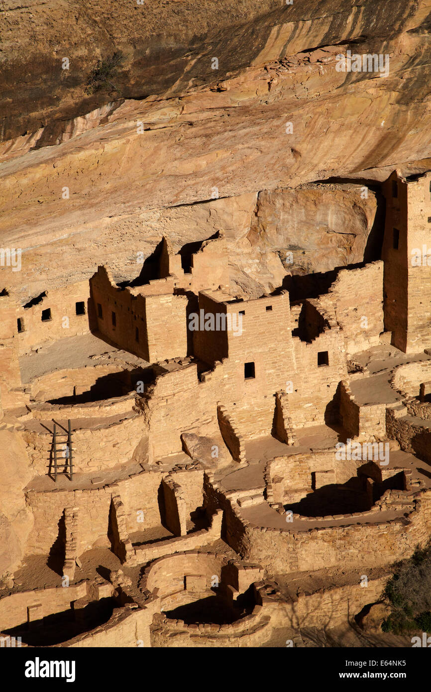 Cliff Palace (über 700 Jahre alt), Mesa Verde Nationalpark (UNESCO-Weltkulturerbe), Colorado, USA Stockfoto