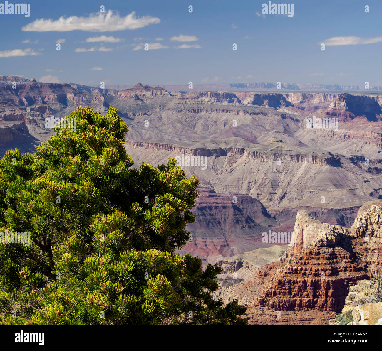 Grand Canyon South Rim Blick von Pipe Creek Vista, Arizona USA, 2014 malerische Landschaftsfotografie Stockfoto