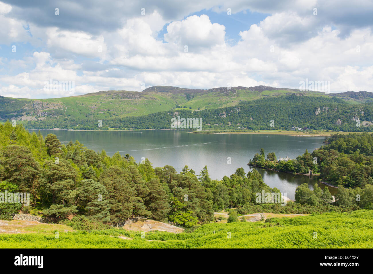 Brandelhow Bay Derwent Water Lake District Cumbria England UK Stockfoto