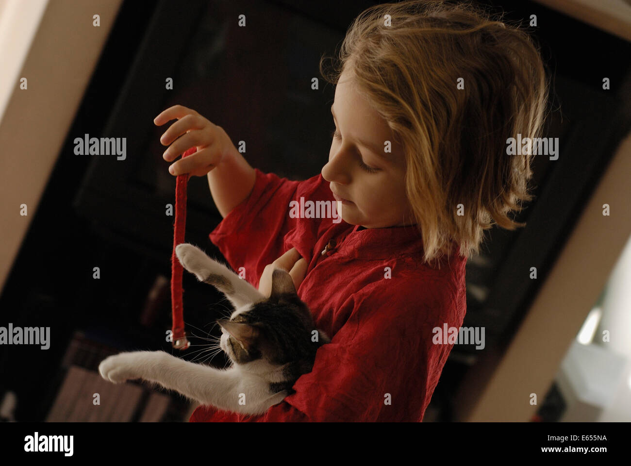 Kinder spielen - junge Mädchen spielen mit ihrem Haustier Katze im Wohnzimmer Stockfoto