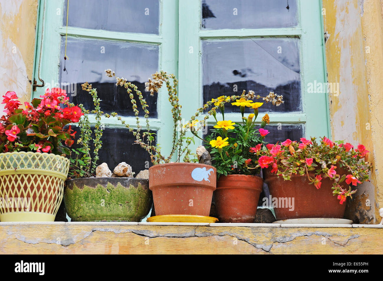 Blumen in Blumentöpfen auf der Fensterbank in einem französischen Dorf, Frankreich, Europa Stockfoto