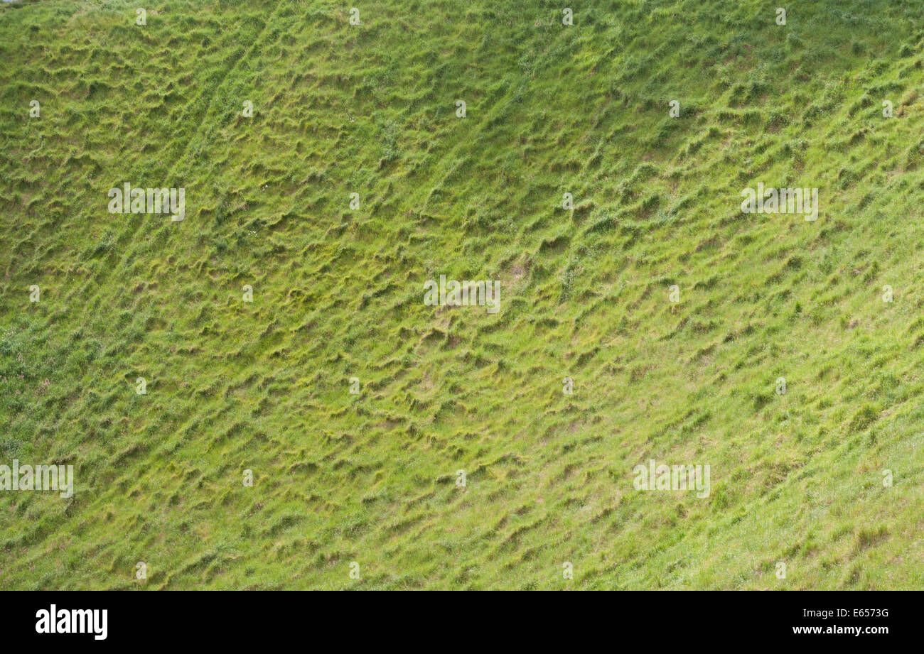 Mt. Eden Krater Auckland, Neuseeland Stockfoto