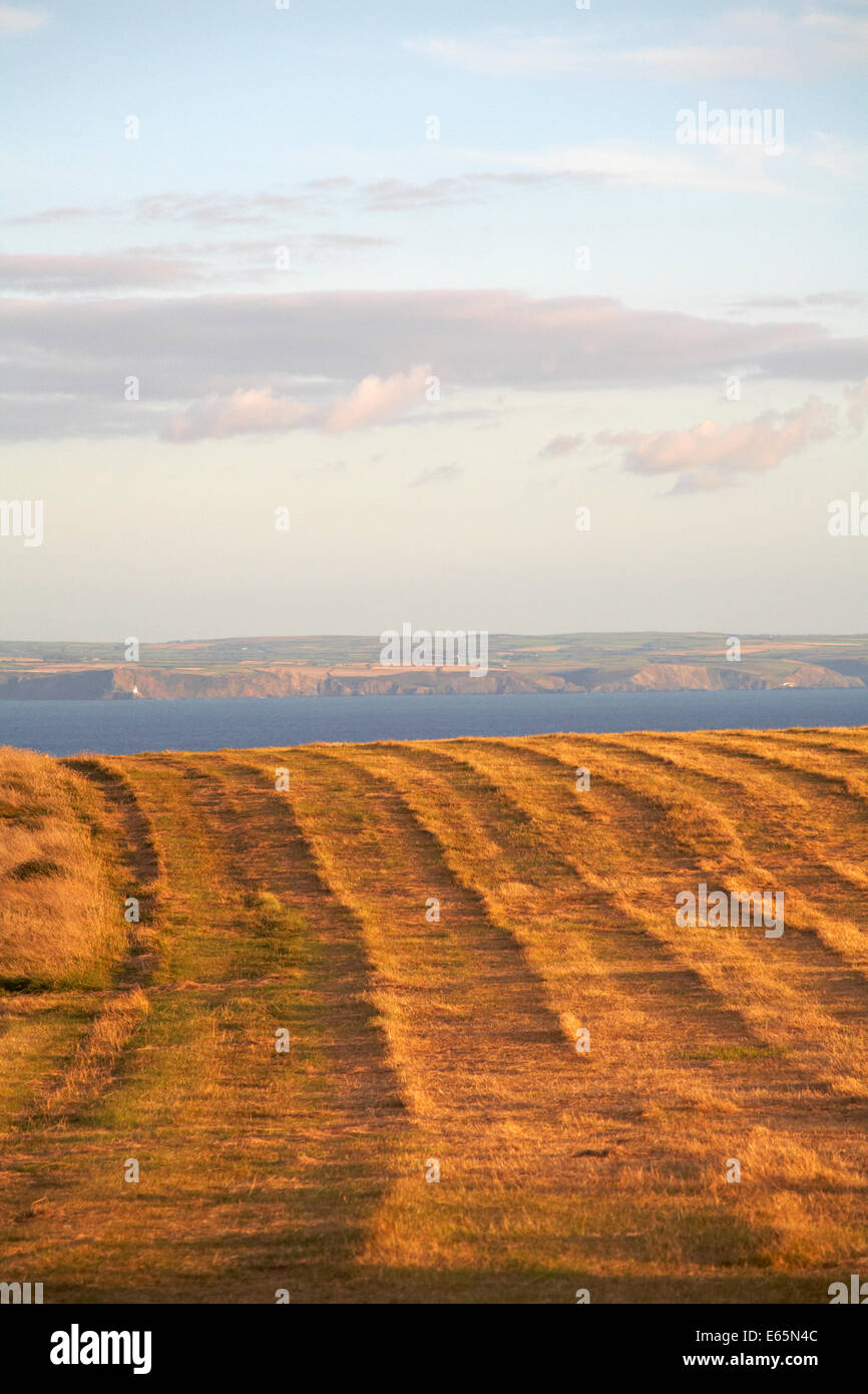 Abgeernteten Feldern im Abendlicht auf Lundy Island, Devon, England Großbritannien mit Blick auf das Festland in der Ferne im August Stockfoto