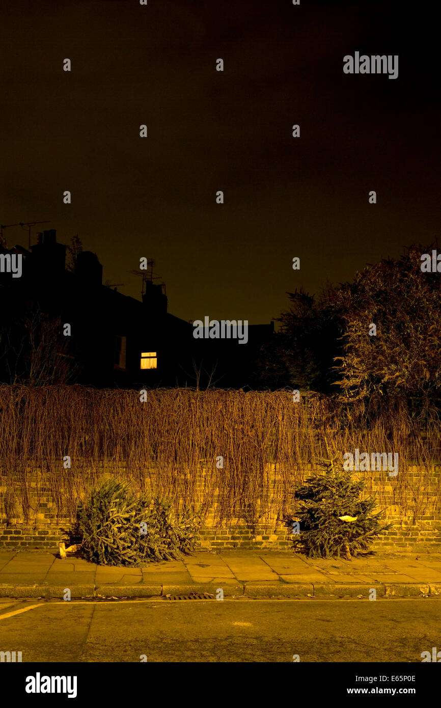 Zwei ausrangierte Weihnachtsbäume liegt auf einem London-Pflaster in der Nacht während einer Straßenlaterne beleuchtet. Stockfoto