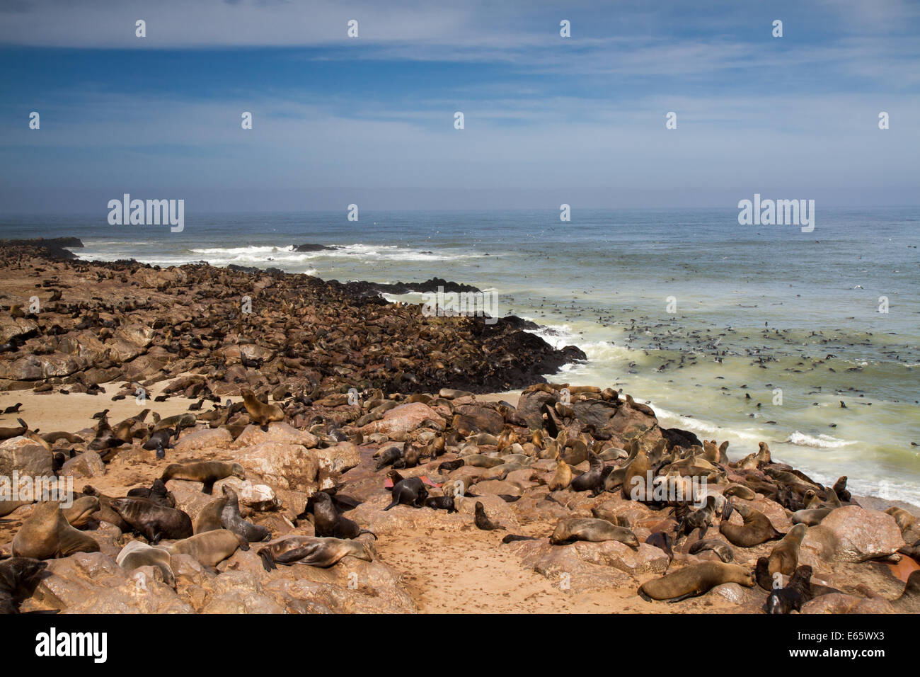 Robbenkolonie am Cape Cross, Namibia, Afrika Stockfoto