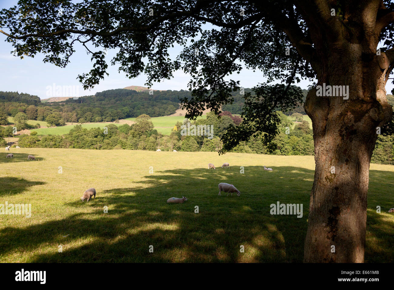 Landschaft in der Nähe von Addingham, West Yorkshire Stockfoto