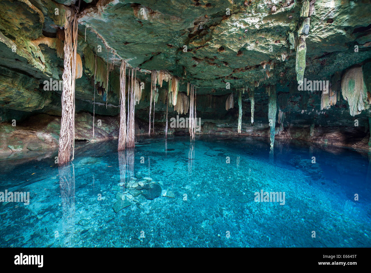 Eintritt in das azurblaue Wasser der Cenote Kankirixche, die sich über mehrere hundert Meter in Yucatan, Mexiko, unterirdisch fortsetzt. Stockfoto