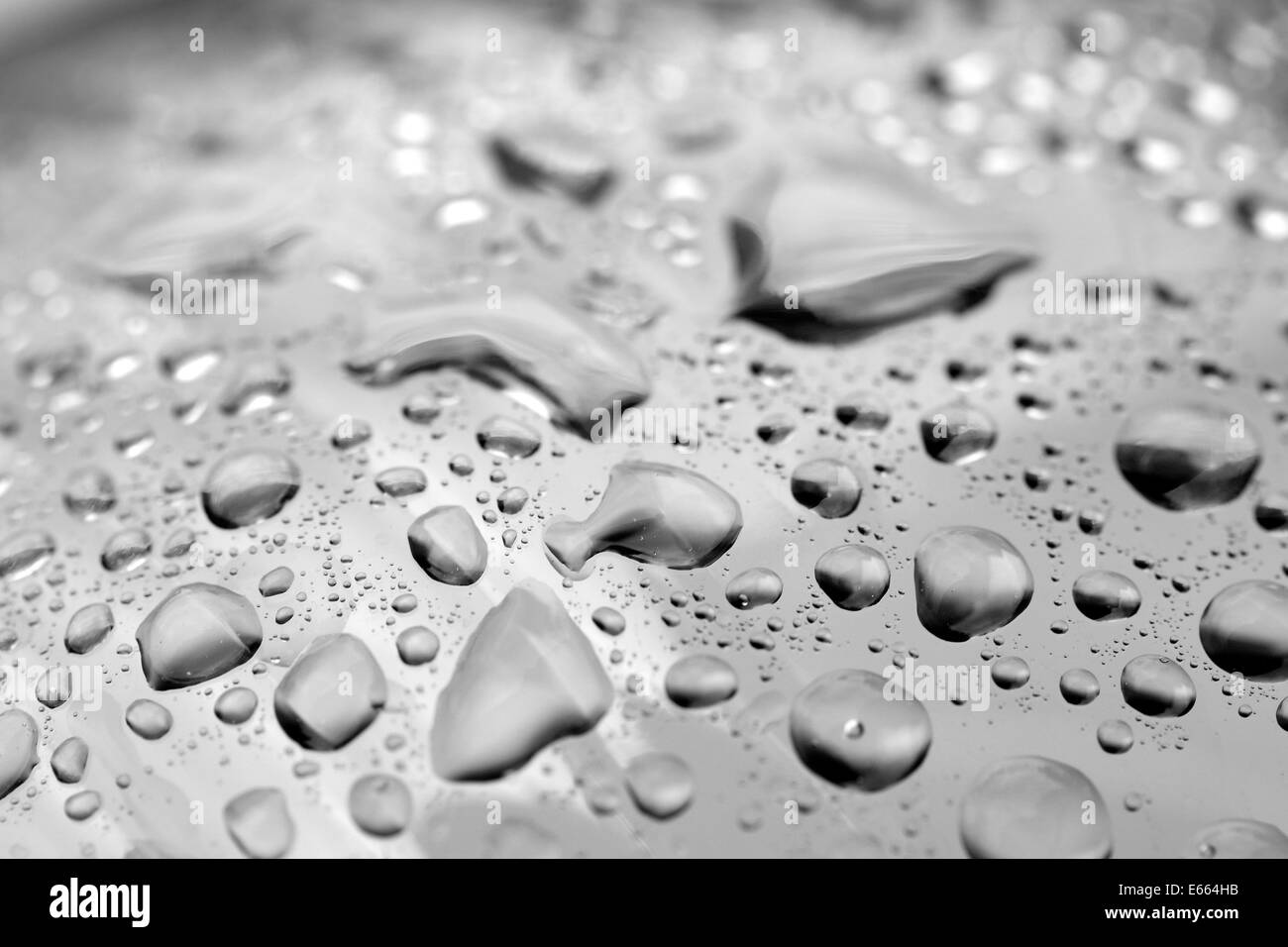Wassertropfen auf grauem Hintergrund Stockfoto