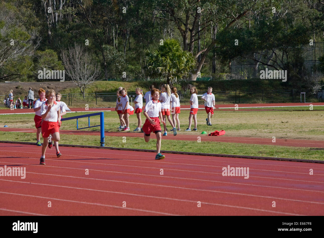 australische Sydney Grundschule Leichtathletik Tag und jungen 100m-Wettbewerb, Sydney, new South Wales, Australien Stockfoto