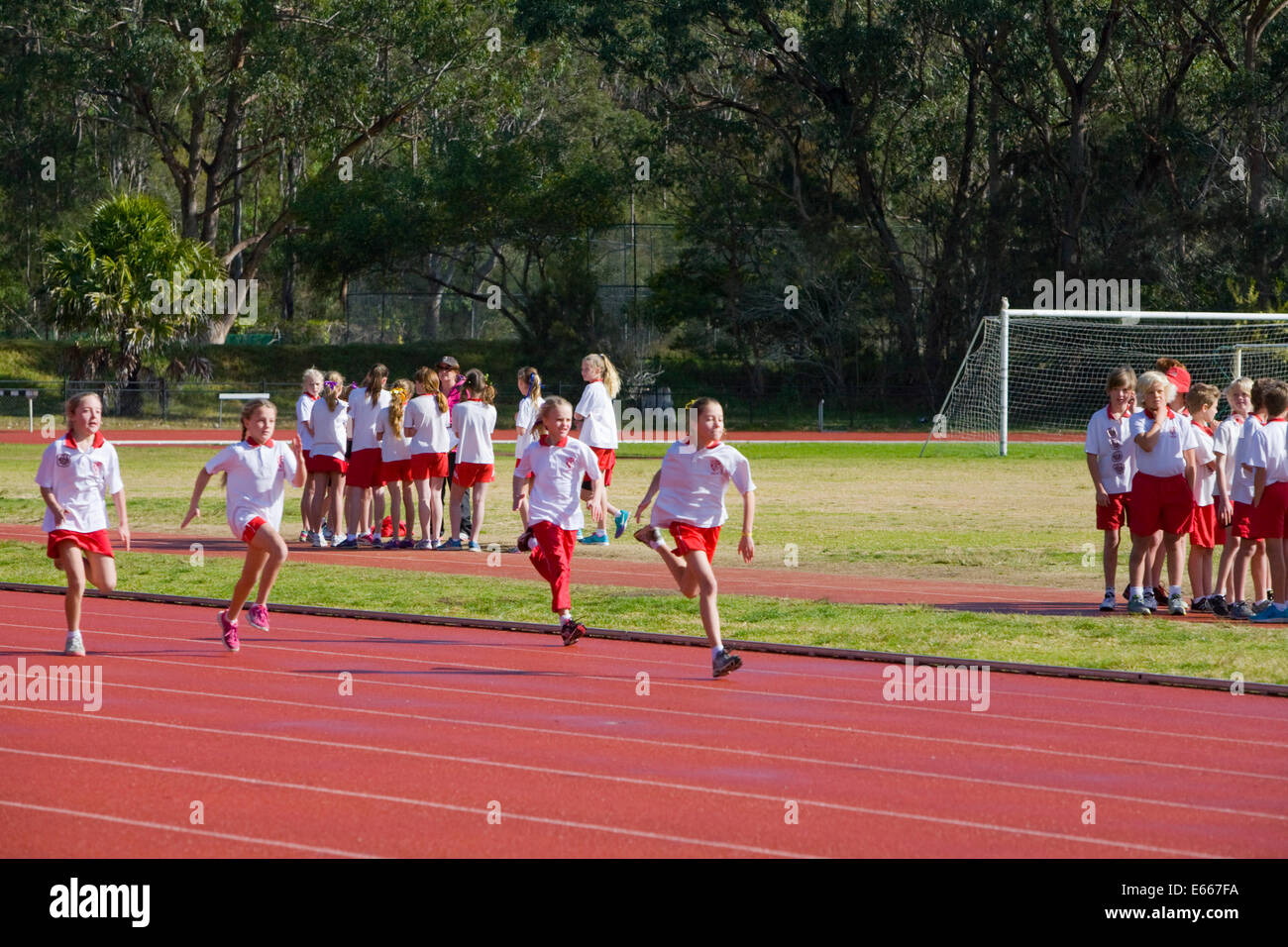 australische Sydney Grundschule Leichtathletik Tag und 100m-Wettbewerb für Mädchen, Sydney, new-South.Wales, Australien Stockfoto