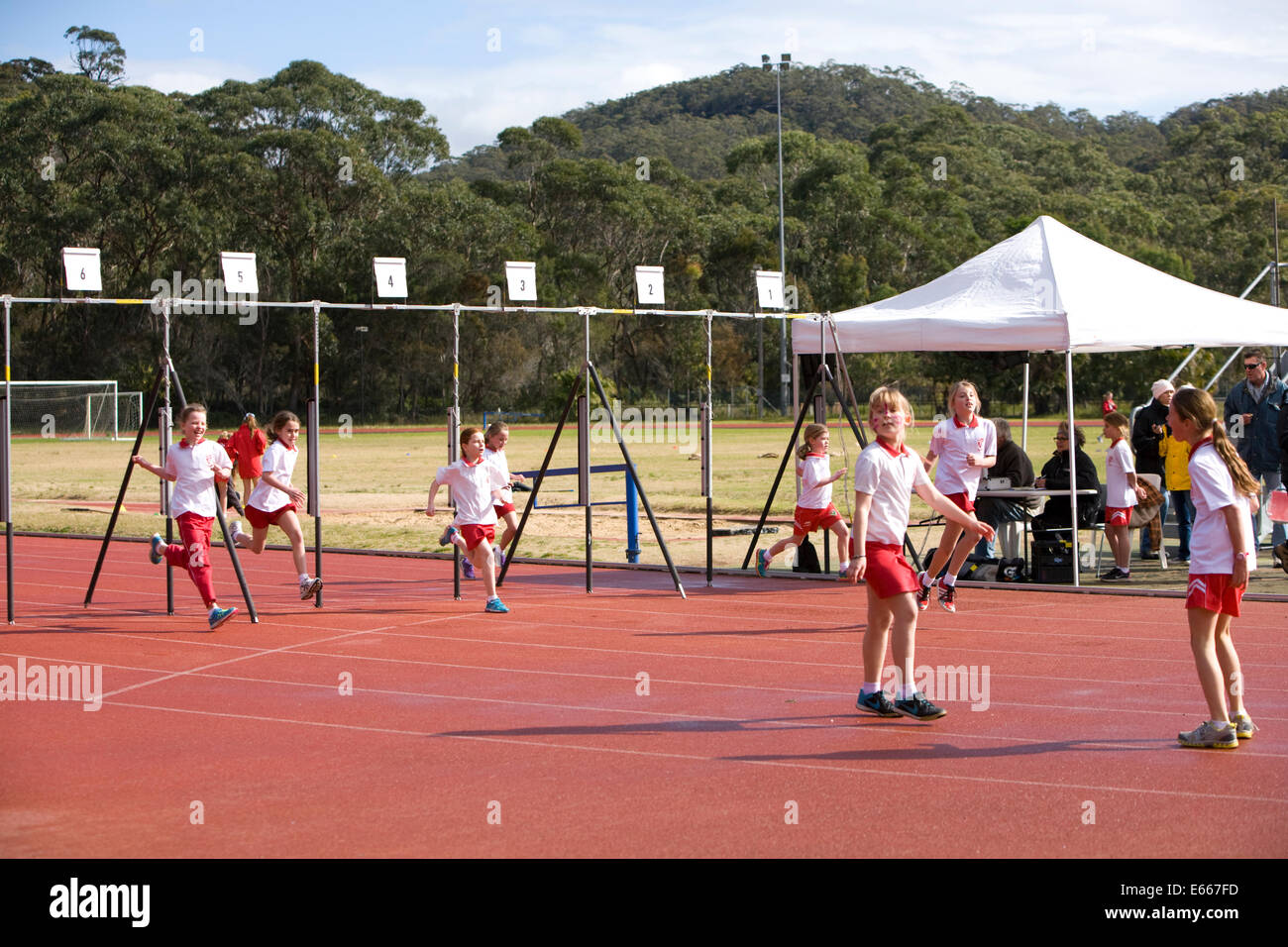 australische Sydney Grundschule Leichtathletik Tag und Wettbewerb, Sydney, new-South.Wales, Australien Stockfoto