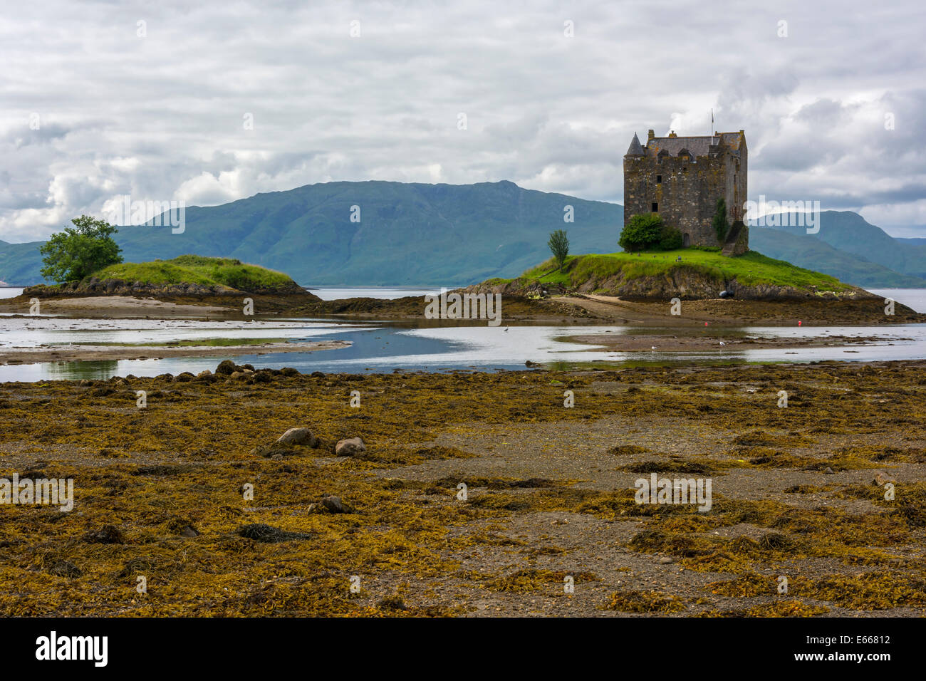 Castle Stalker, Loch Linnhe, Schottland Stockfoto