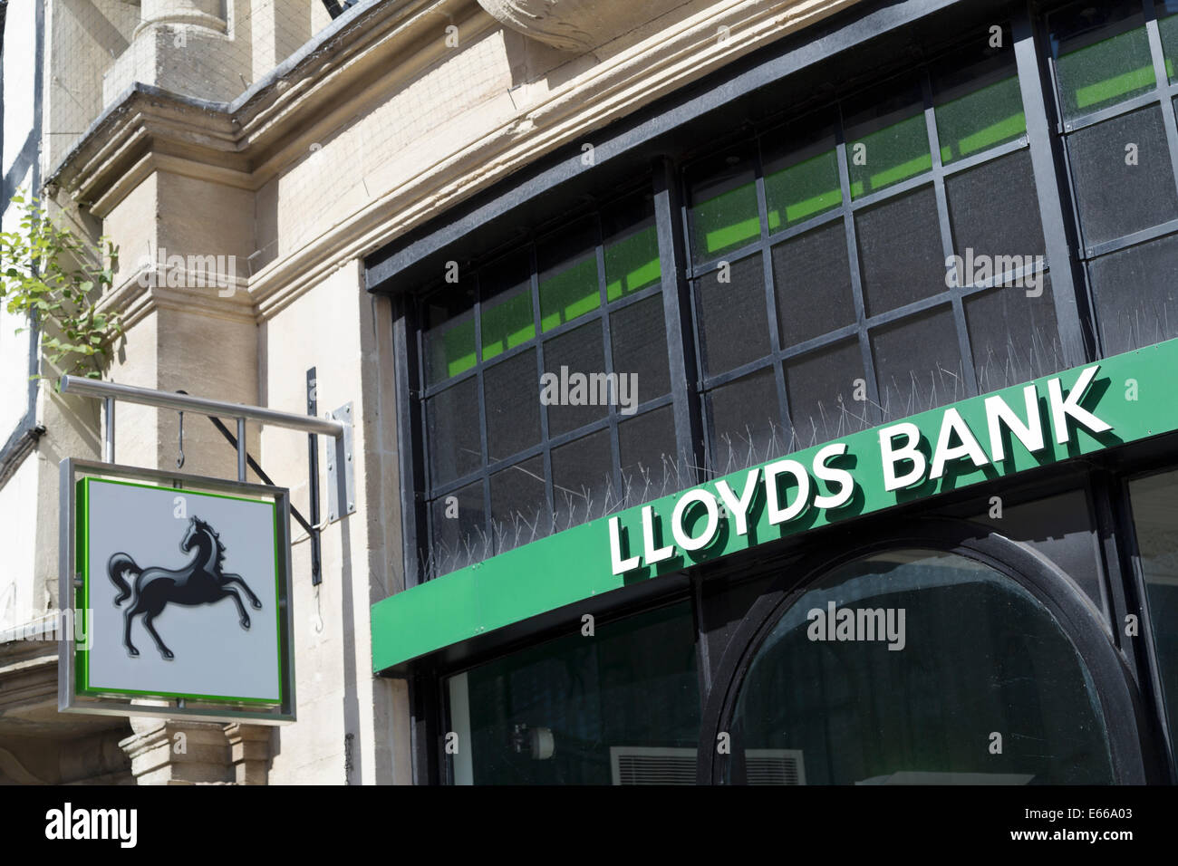 UK, Oxford, Lloyds Bank Beschilderung außerhalb Zweig. Stockfoto