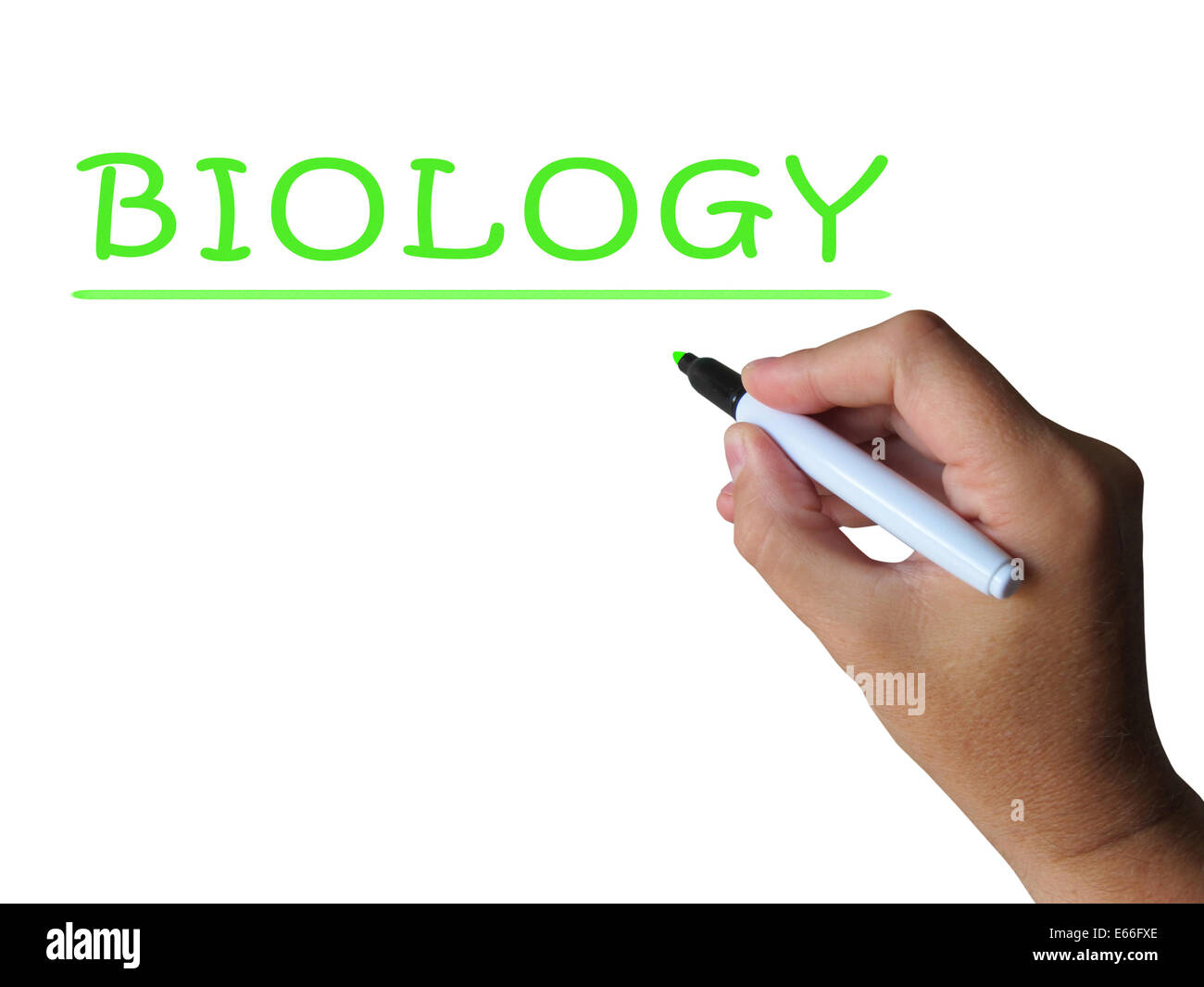 Biologie-Word zeigt Studie von Tieren und Pflanzen Stockfoto