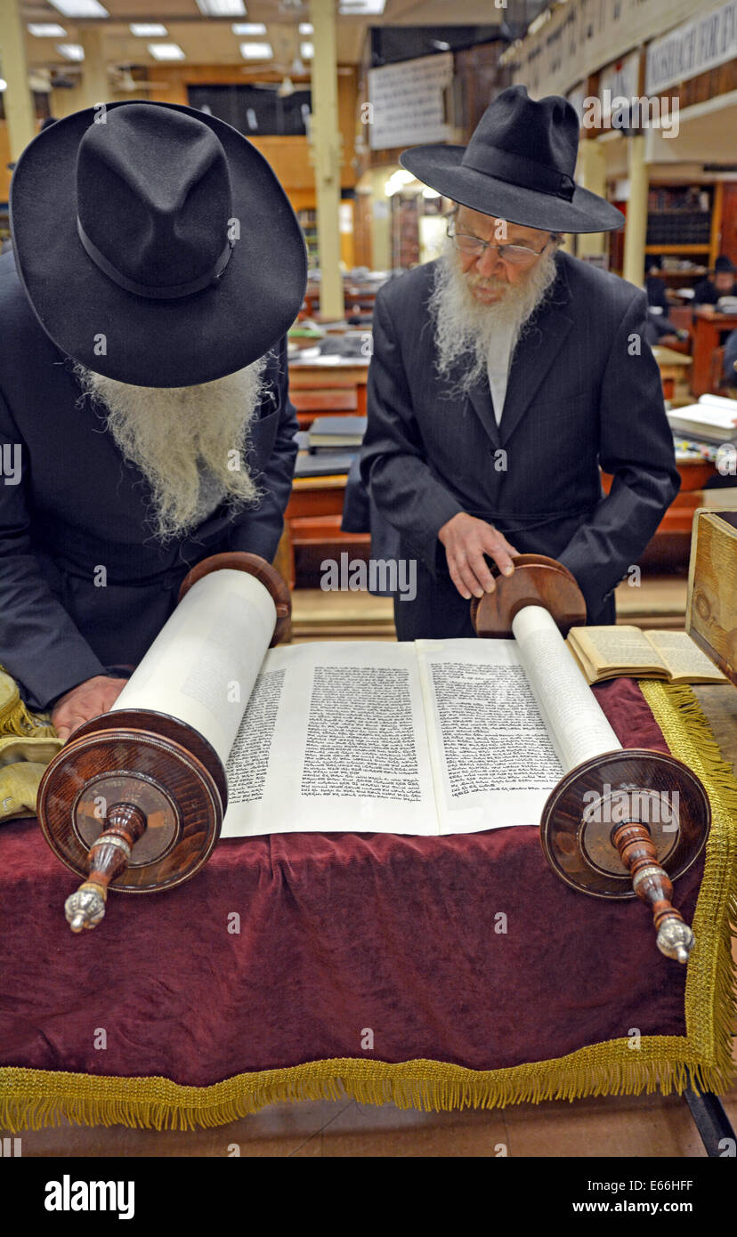 Religiöse jüdische Männer lesen aus einer Tora während der Tisha B'Av Gottesdienste in der Synagoge in Brooklyn, New York, USA Stockfoto