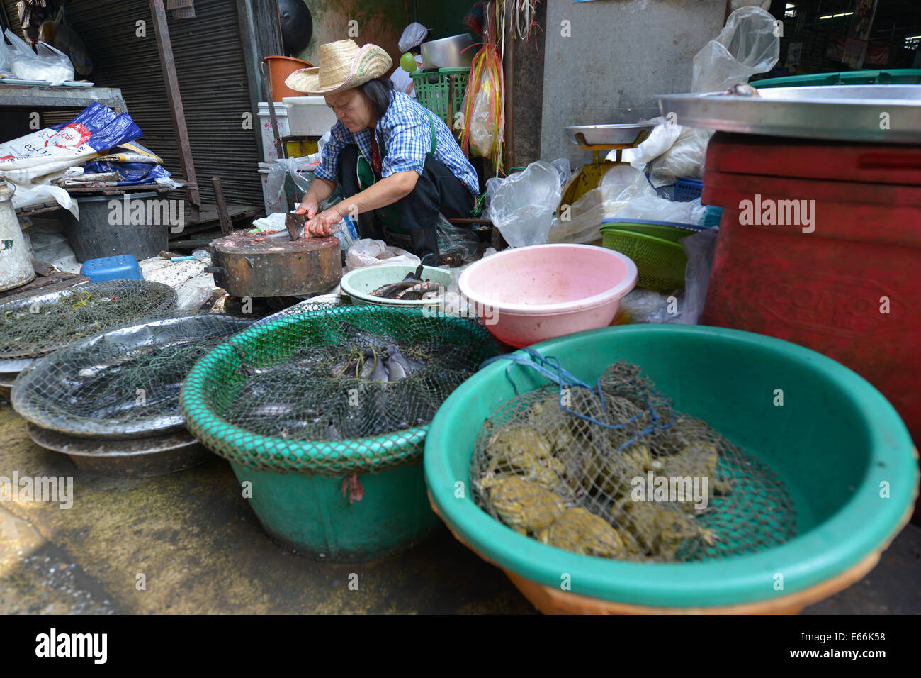 Chiang Mai, Thailand - 16. Februar 2014: Eine unbekannte Frau Verkauf von Fischen auf einem Markt in Chiang Mai, Thailand. Stockfoto