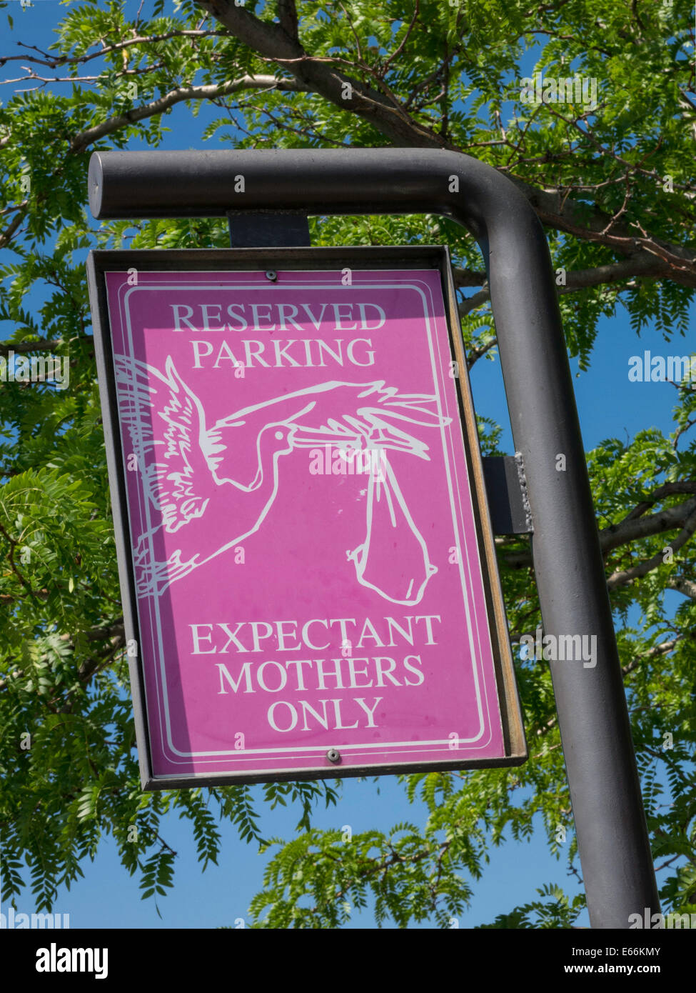 Reservierte Parkplätze, Mütter werdende nur Zeichen, PKW Parkplatz, USA Stockfoto