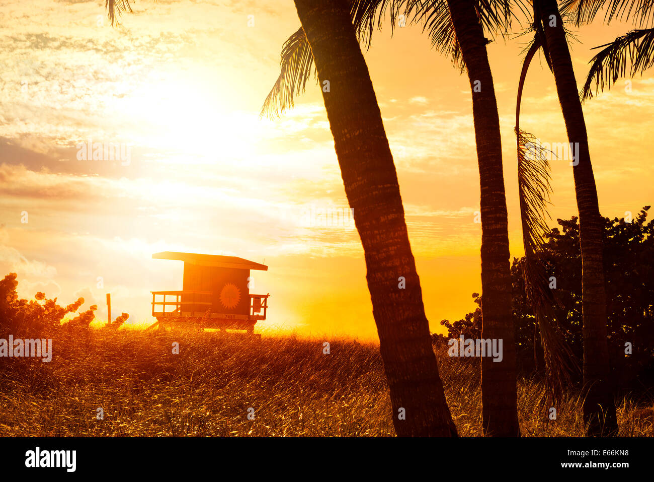 Miami South Beach Sunrise mit Rettungsschwimmer-Turm und Palm-Baum Stockfoto