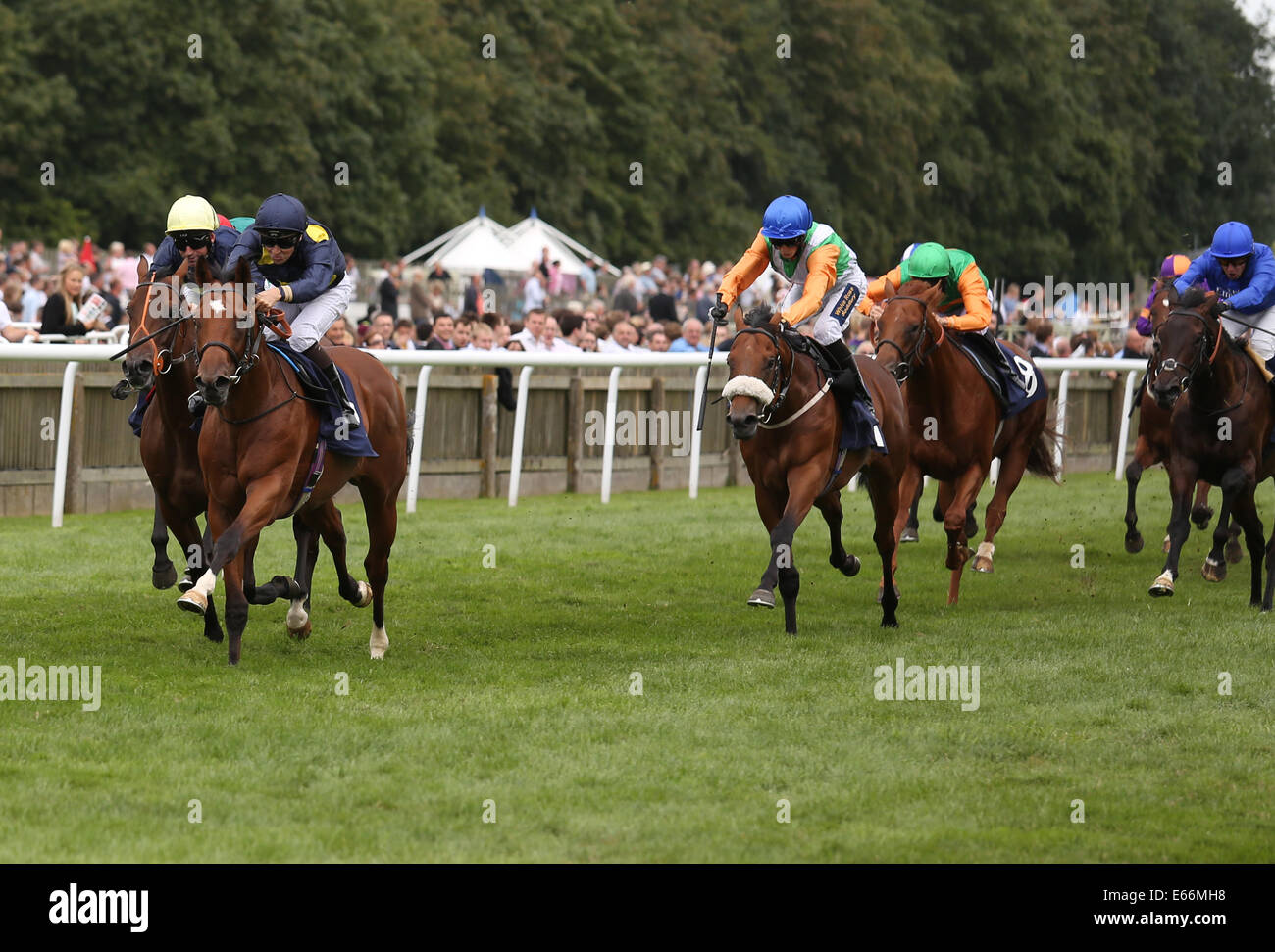 Newmarket, Großbritannien. 16. August 2014. Best of British Sporttag. Waffenkoffer unter Nicky Mackay The Racing Wohlfahrt EBF Hengste Maiden Stakes zu gewinnen. Bildnachweis: Aktion Plus Sport/Alamy Live-Nachrichten Stockfoto