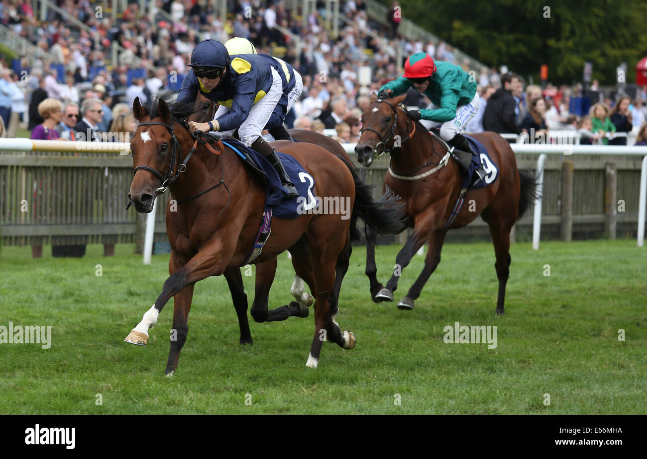 Newmarket, Großbritannien. 16. August 2014. Best of British Sporttag. Waffenkoffer unter Nicky Mackay The Racing Wohlfahrt EBF Hengste Maiden Stakes zu gewinnen. Bildnachweis: Aktion Plus Sport/Alamy Live-Nachrichten Stockfoto