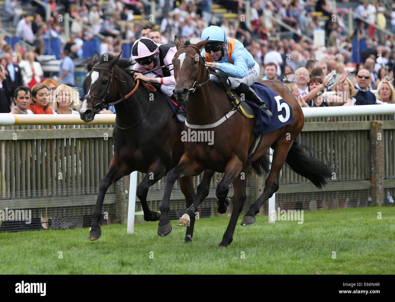 Newmarket, Großbritannien. 16. August 2014. Best of British Sporttag. Fattsota unter Pat Dobbs der Betfair unterstützt Racing Wohlfahrt Handicap Stakes zu gewinnen. Bildnachweis: Aktion Plus Sport/Alamy Live-Nachrichten Stockfoto