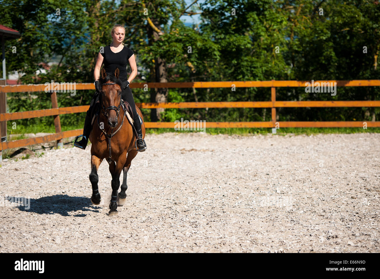 Schöne junge blonde Frau auf einem Pferd auf dem Bauernhof Stockfoto