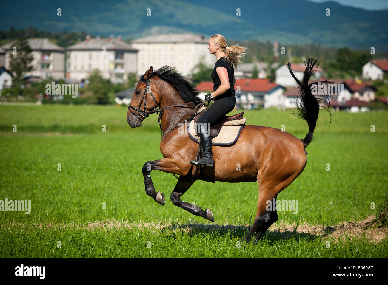 Schöne junge blonde Frau auf einem Pferd auf dem Bauernhof Stockfoto
