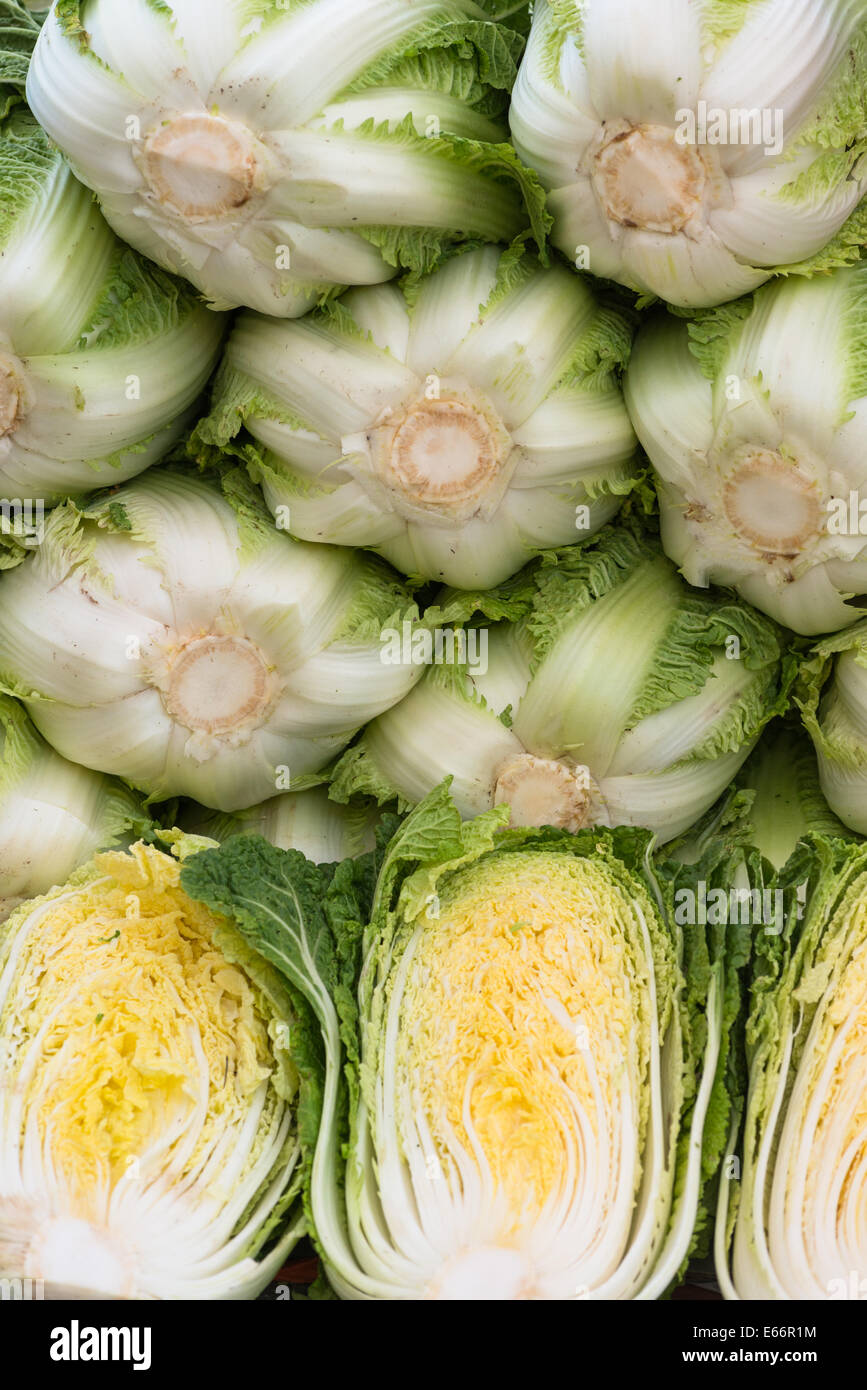 Chinesischer Kohl zum Verkauf an koreanischen Markt, Pusan, Südkorea. Stockfoto