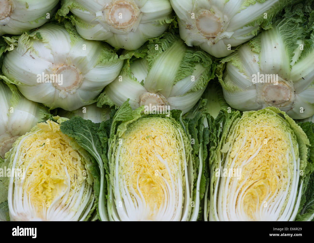 Chinesischer Kohl zum Verkauf an koreanischen Markt, Pusan, Südkorea. Stockfoto
