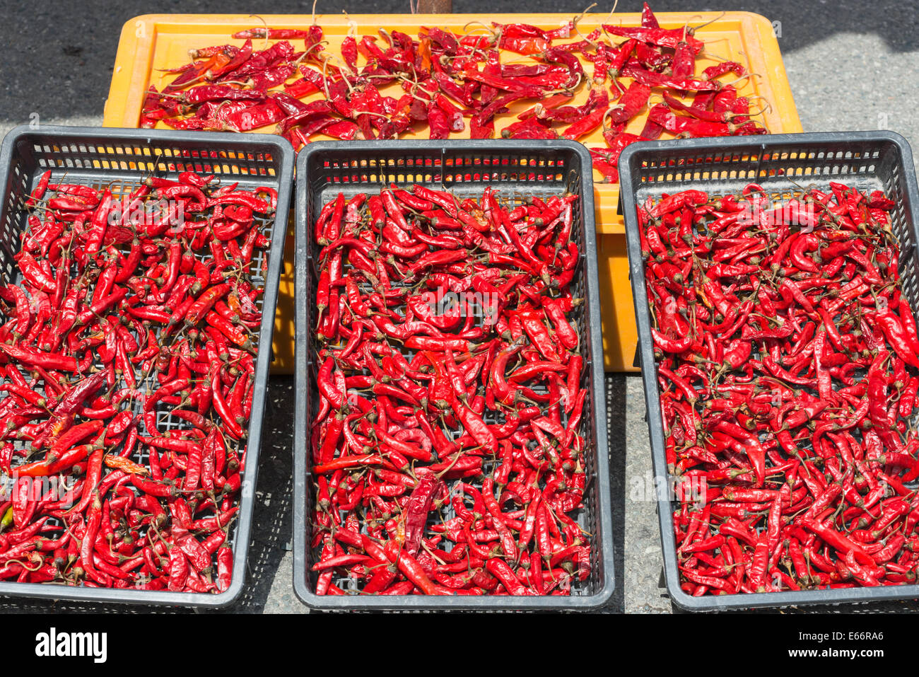 Rote Chilis zum Verkauf an koreanischen Markt, Pusan, Südkorea. Stockfoto