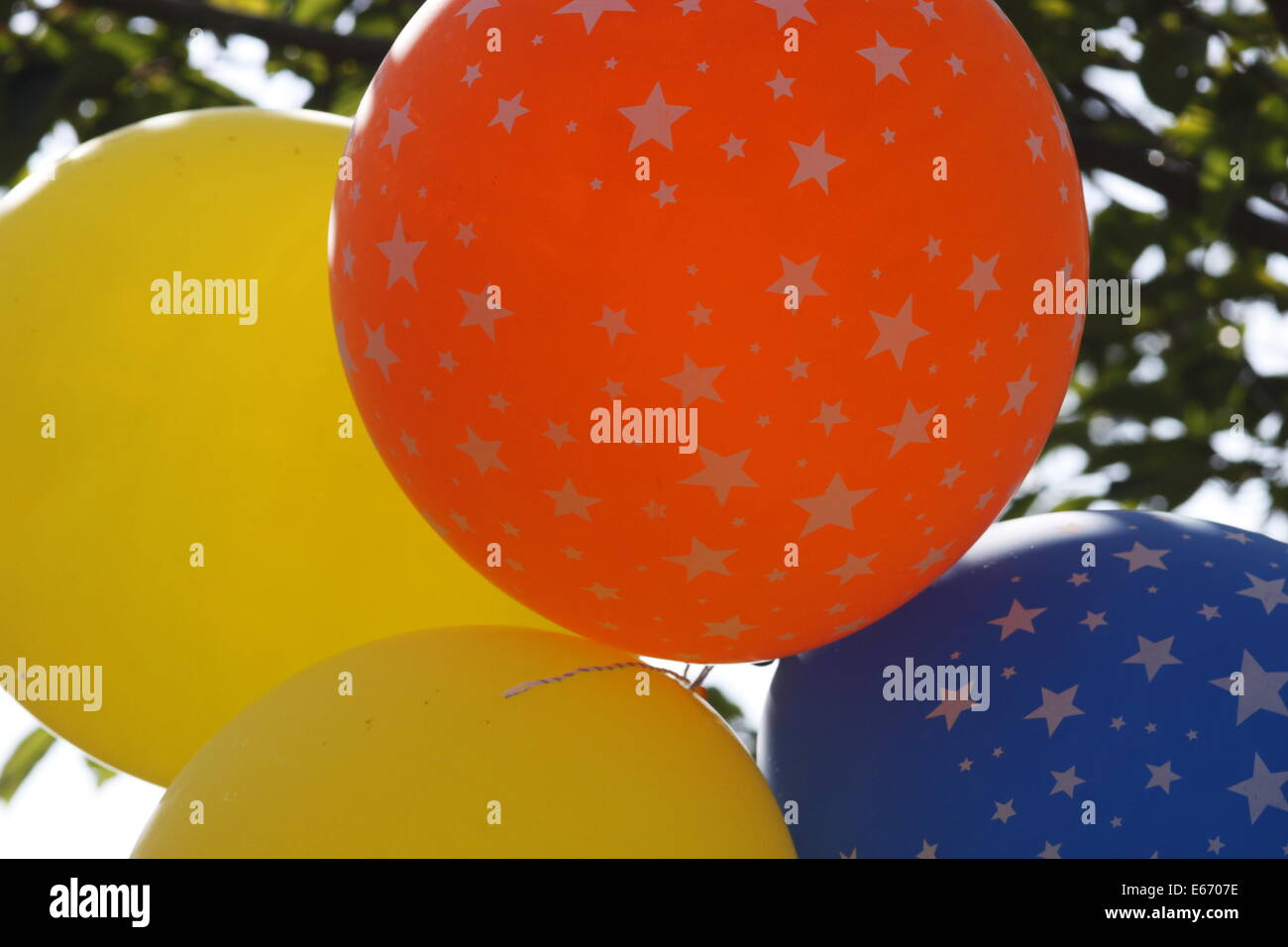 Geburtstag Party Luftballons, rot, blau und gelb Sternenhimmel Ballons, mit Baum im Hintergrund. Stockfoto